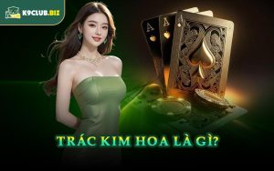 Trác Kim Hoa Là Gì?