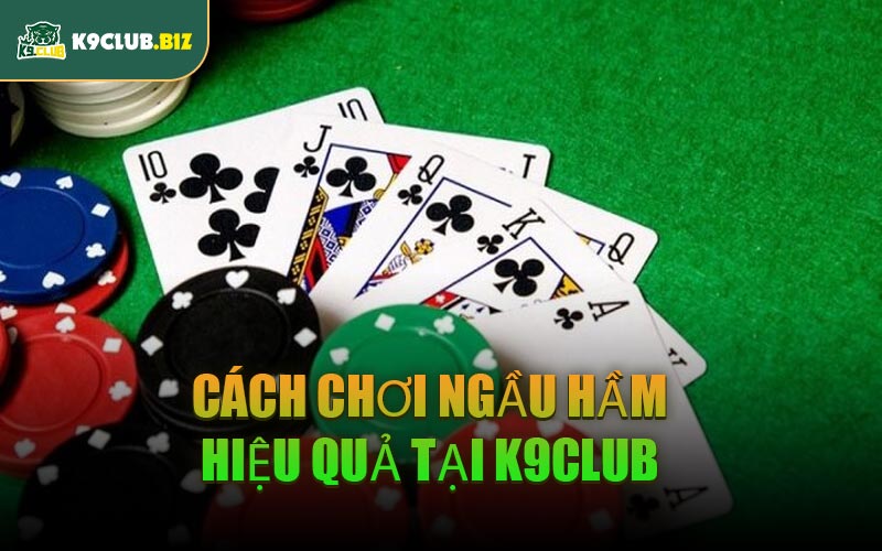 Cách Chơi Ngầu Hầm Hiệu Quả Tại K9CLUB