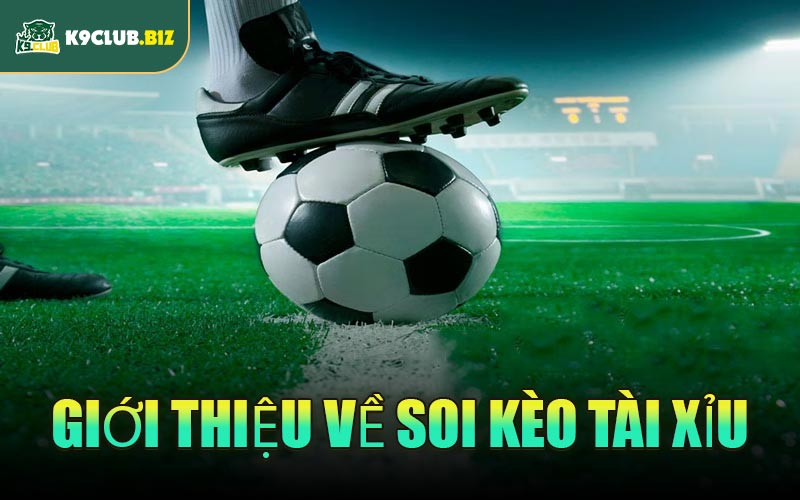 Giới thiệu về soi kèo Tài Xỉu
