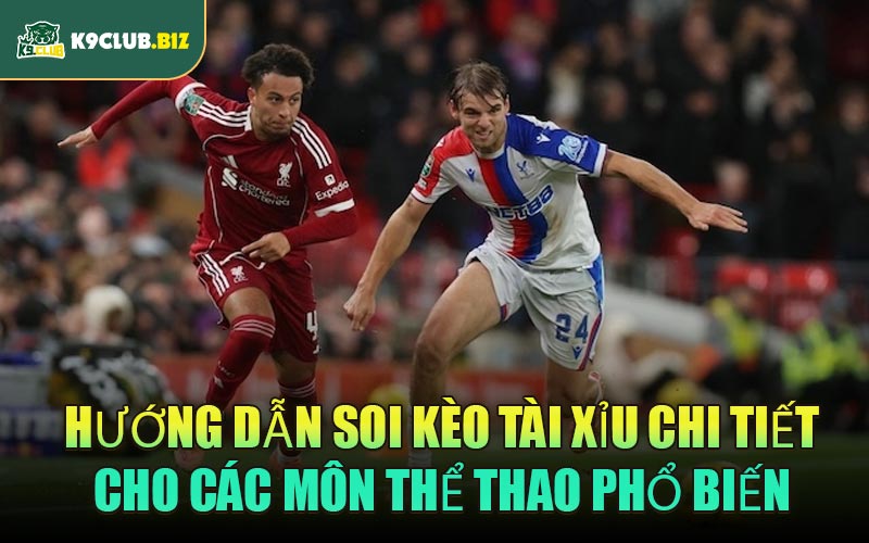 Hướng dẫn soi kèo Tài Xỉu chi tiết cho các môn thể thao phổ biến