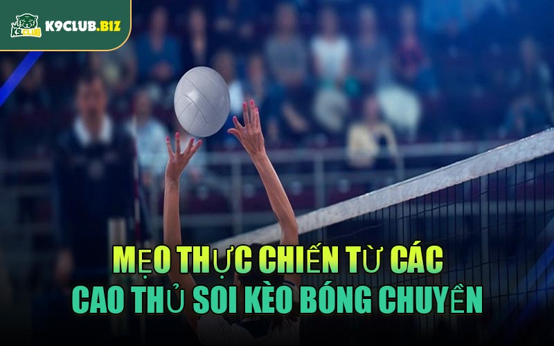 Mẹo thực chiến từ các cao thủ soi kèo bóng chuyền