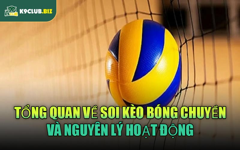 Tổng quan về soi kèo bóng chuyền và nguyên lý hoạt động