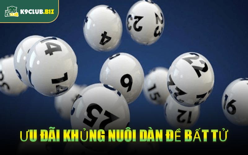 Ưu Đãi Khủng Nuôi Dàn Đề Bất Tử